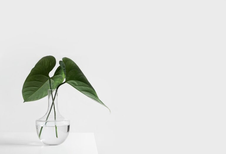 Photo Minimalist home