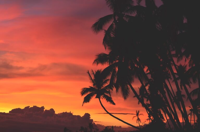 Photo Tropical beach