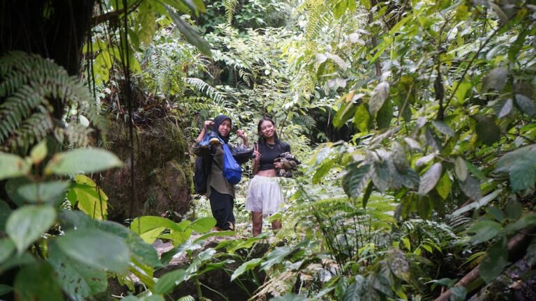 Photo Jungle trekking