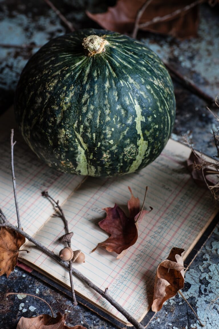 Photo "Complete guide to cooking with seasonal ingredients"