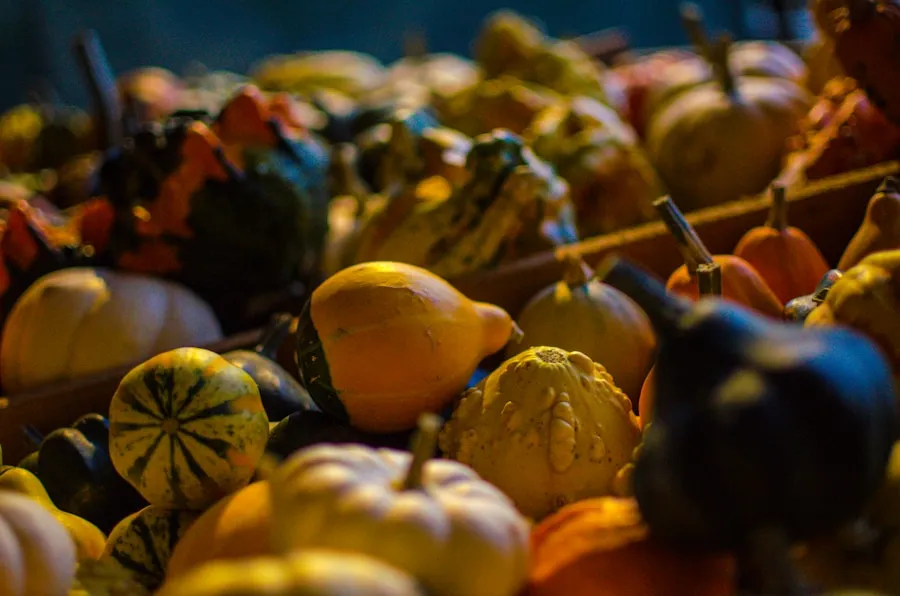 Photo "Guide to Enjoying the Taste of Seasonal Ingredients"