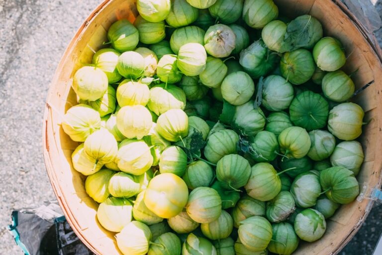 Photo Guide for Preserving and Conserving Seasonal Vegetables