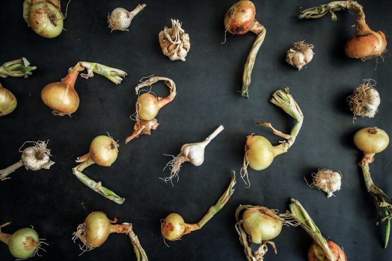 Photo "How to turn seasonal vegetables into quick side dishes"