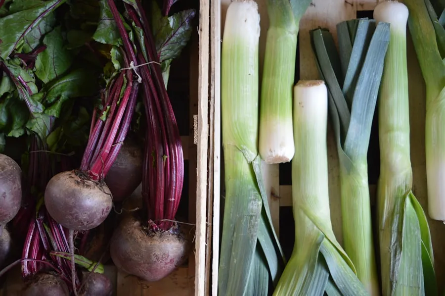 Photo "Guide for Keeping Seasonal Vegetables Frozen for Winter"