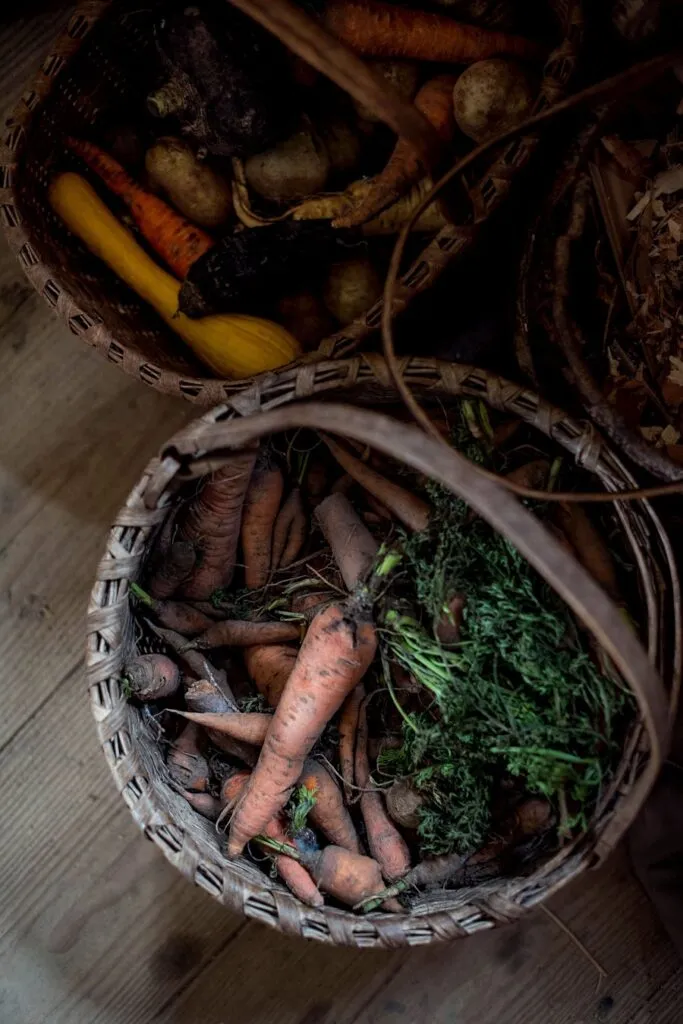 Photo "How to stock up on seasonal vegetables for the cold months"
