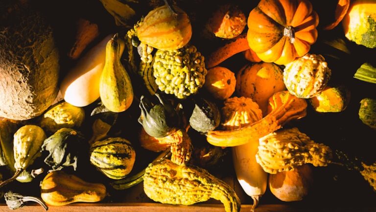 Photo "Guide to incorporating seasonal ingredients into the daily diet"