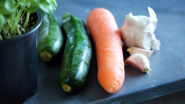 Photo "Guide for Easy Dishes with Seasonal Vegetables"