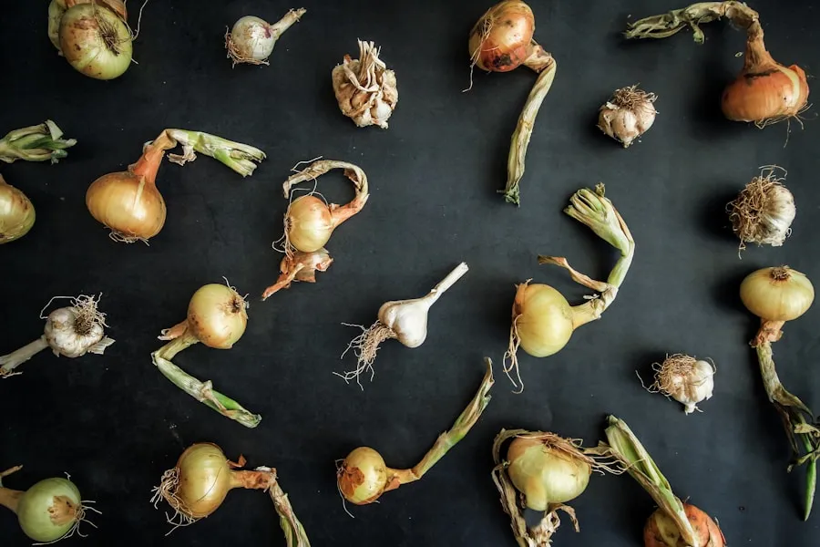 Photo "How to organize your meals using only seasonal ingredients"