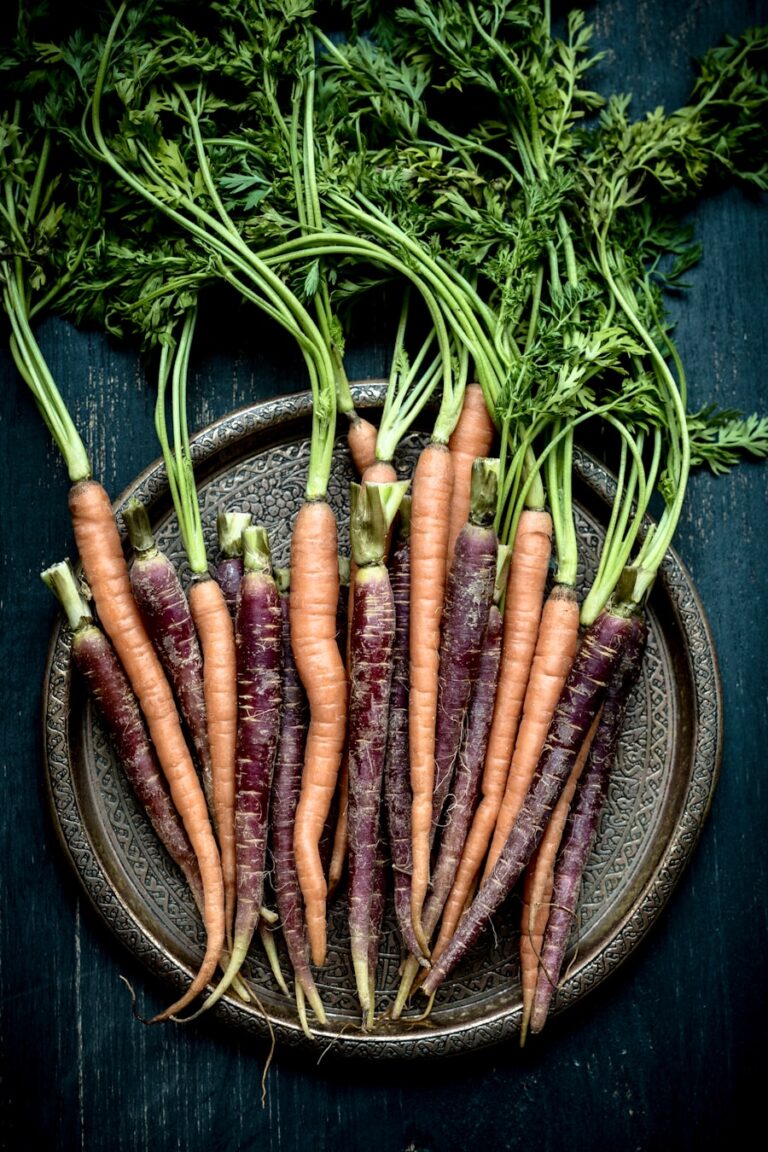 Photo "Recipes that help you make seasonal vegetables profitable"
