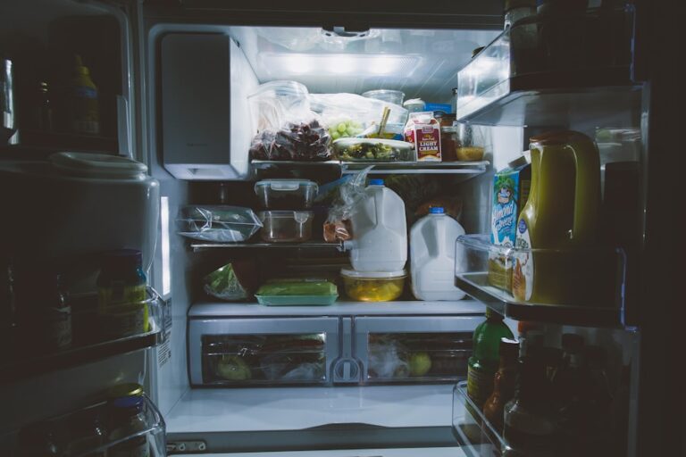 Photo "How to organize your meals to have energy throughout the day"