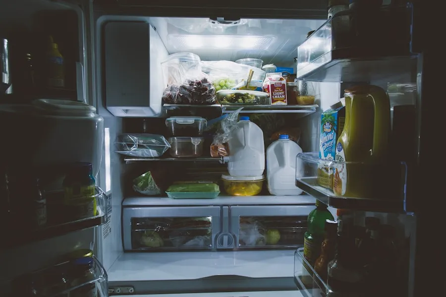Photo "How to organize your meals to have energy throughout the day"