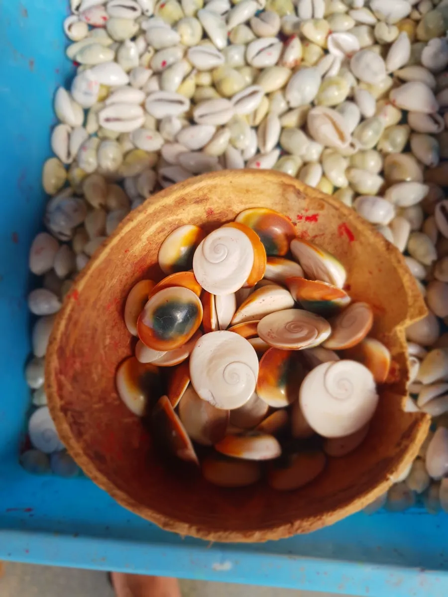 Photo "Guide to Choosing the Right Dietary Supplements in a Balanced Diet"