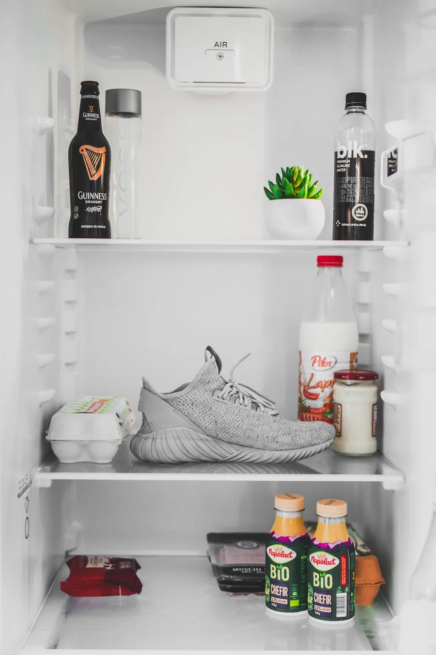 Photo "Guide to cooking with the ingredients you already have in the fridge"