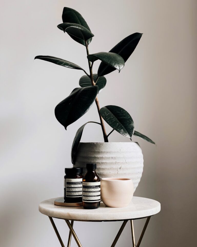 Photo "Guide to buying in bulk and saving money in the long term"