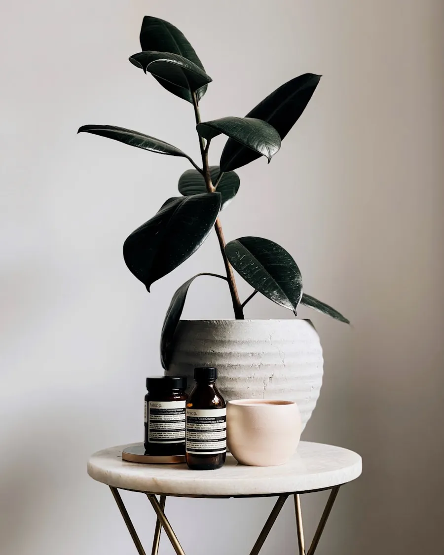 Photo "Guide to buying in bulk and saving money in the long term"