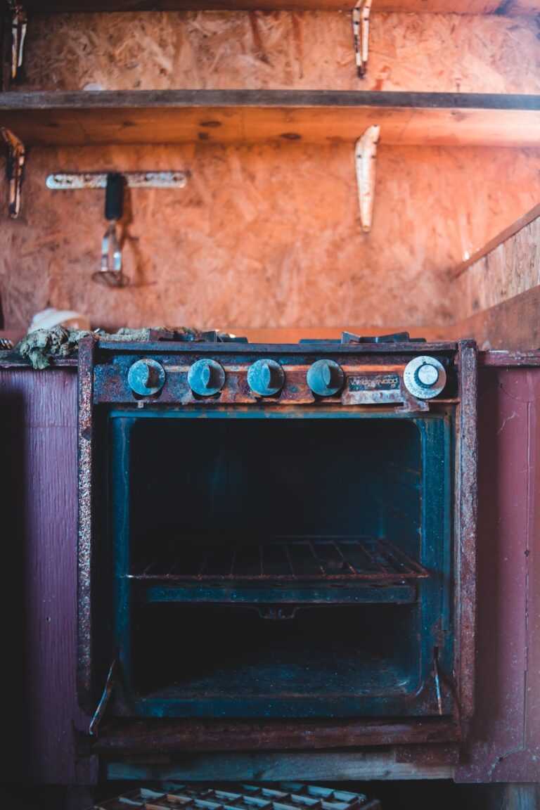 Photo Guide for the correct use of the oven in cooking