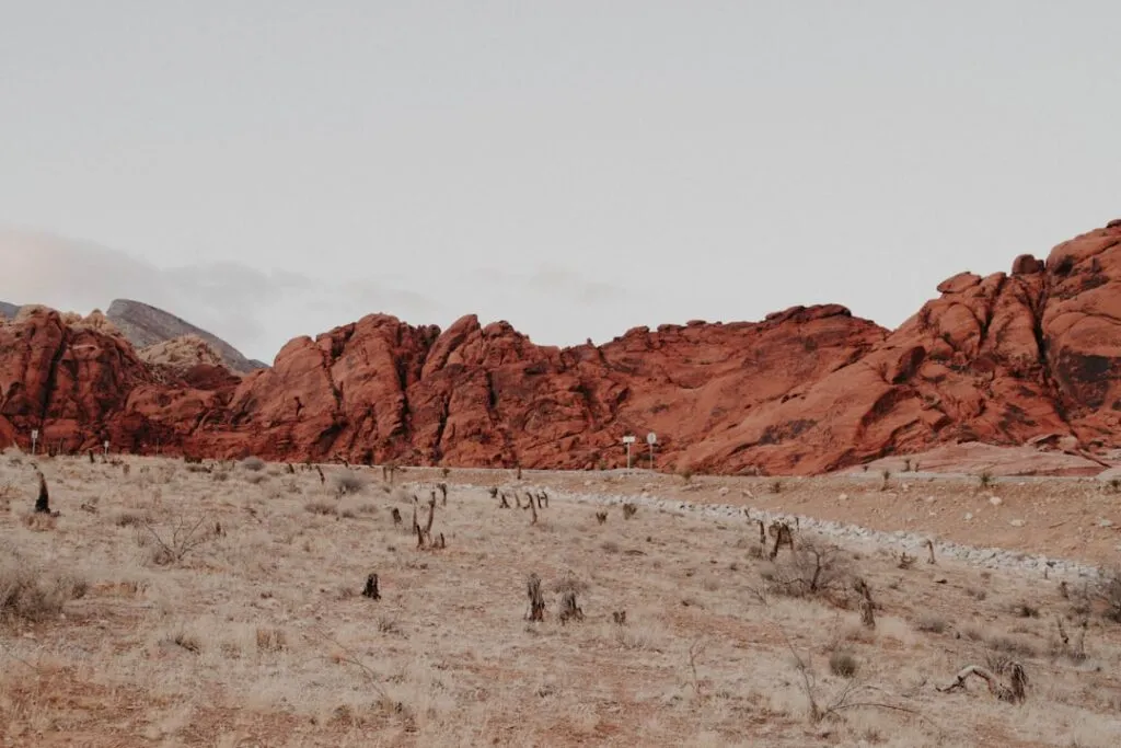 Photo desert