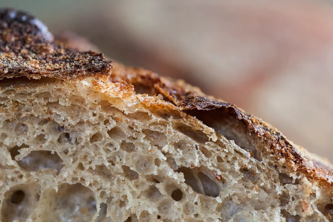 Photo bread rising