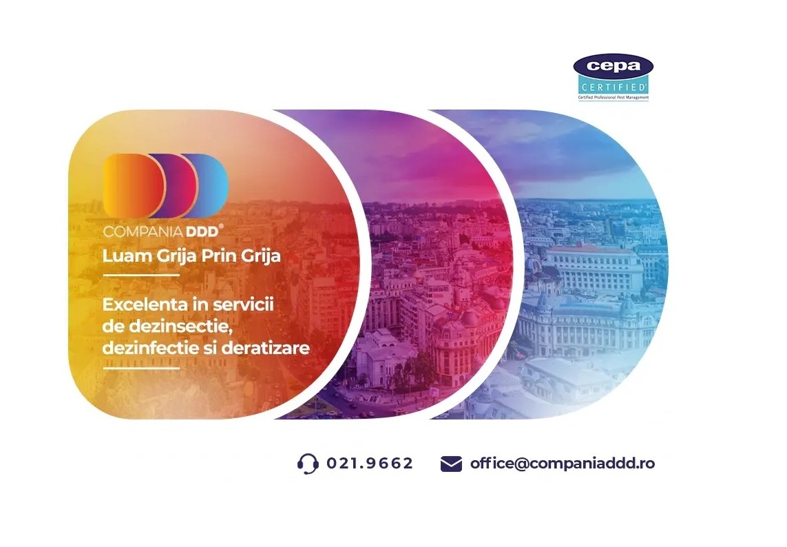 1759853822_68e53cfe609a5_compania-ddd