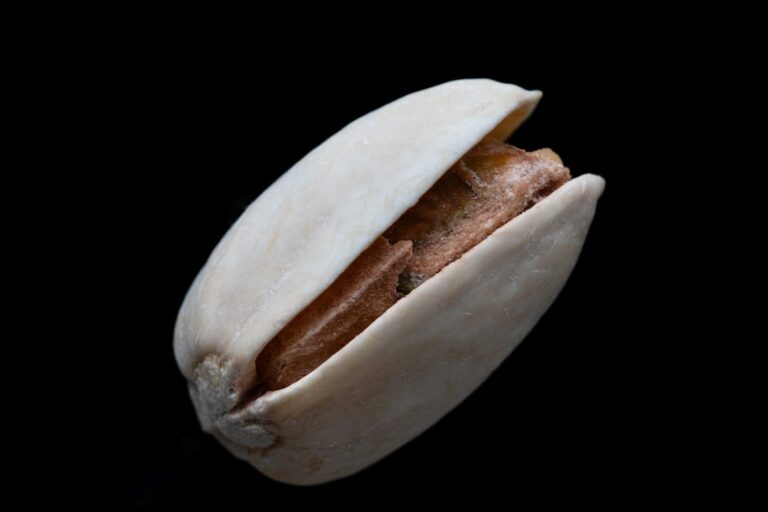 Photo plăcintă cu dovleac