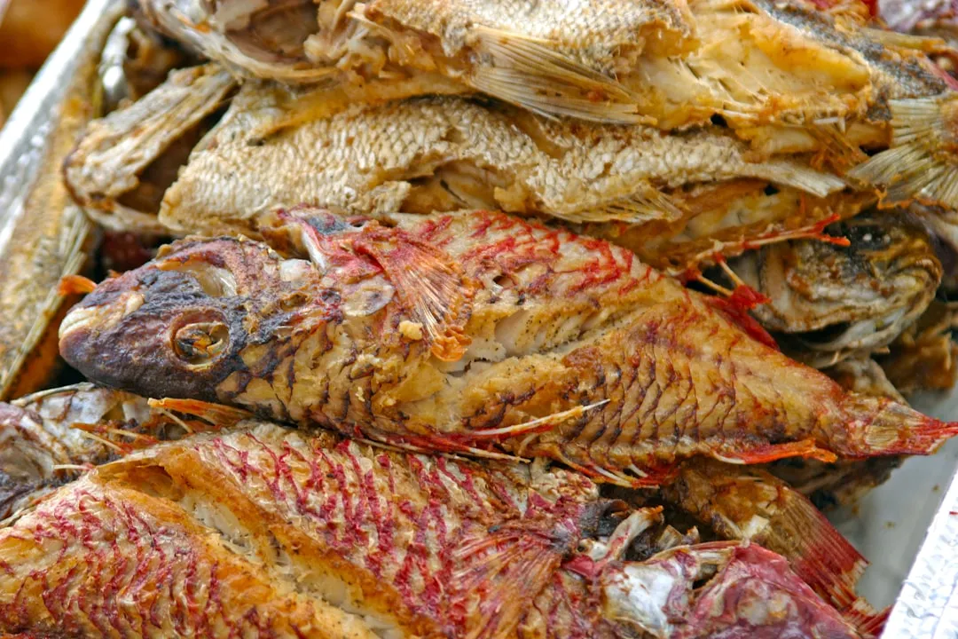 Photo baked fish