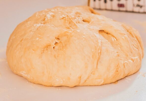 Photo pizza dough fermentation