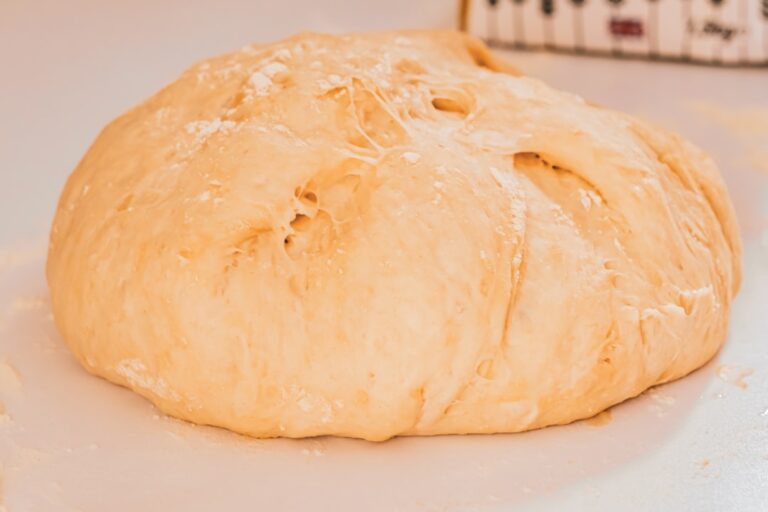 Photo pizza dough fermentation