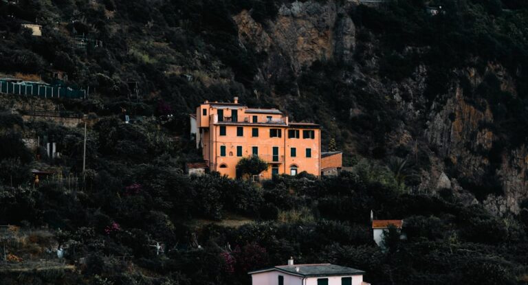 Photo leguminoasele