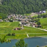 Photo sarmale