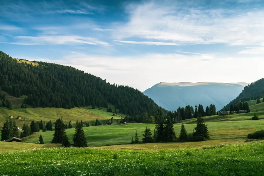 Photo sos de roșii