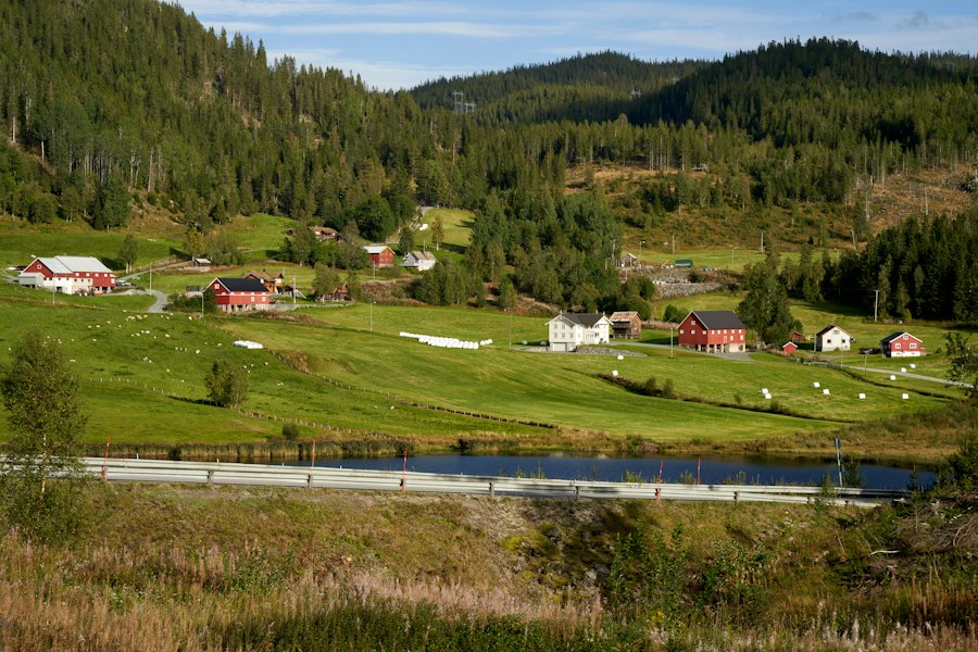 garnituri