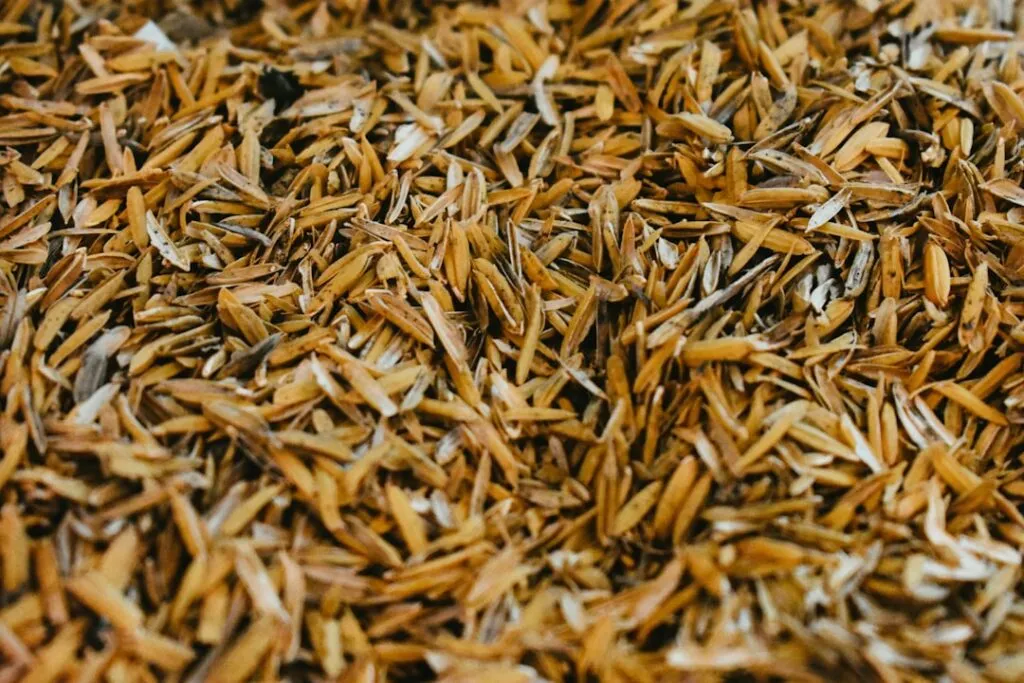 Photo rice texture