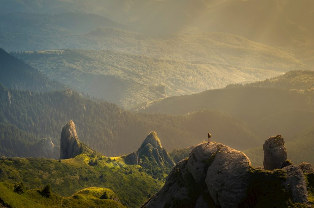 Photo bucătar