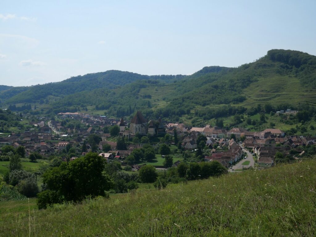 Photo brânzeturile