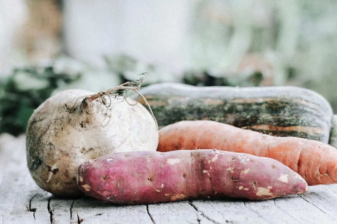 Photo seasonal vegetables guide