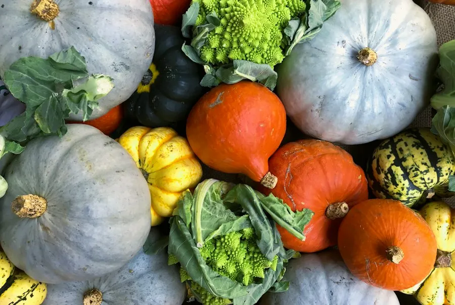 Photo seasonal vegetables guide