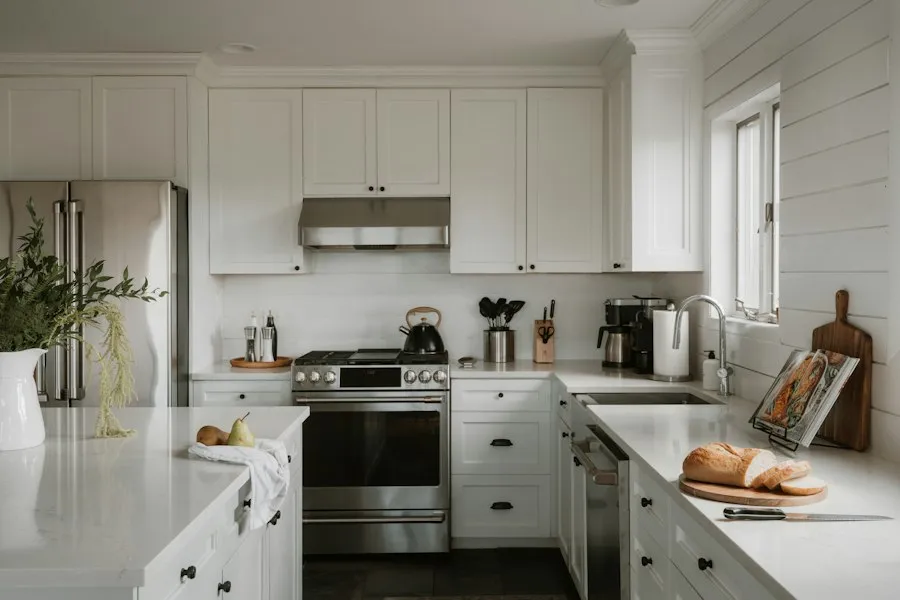 Photo kitchen organization tips