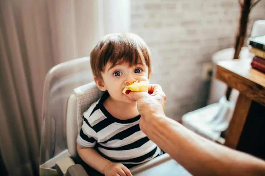 Photo baby food guide